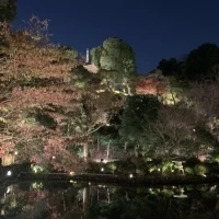夜景がとっても素敵！ライトアップや、雲海演出も楽しめます。