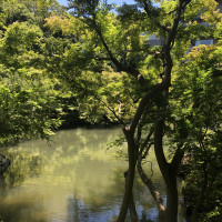 池があって落ち着きがあります