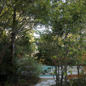 ガーデン|584339さんのラソールガーデン大阪（営業終了）の写真(1438659)