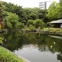 式場内の池と庭園