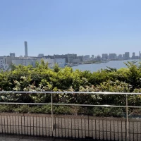 フラワーシャワーできるチャペル横の広場です。