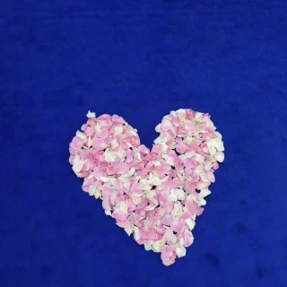 フラワーシャワーのお花で作ってあったハート