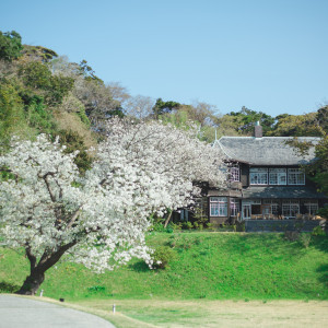 桜の時期でした。|584716さんの古我邸の写真(1195321)