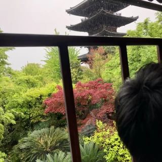 2階の廊下からも八坂の塔が一望できます
