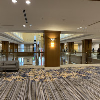 ホテル内装、歩きやすい綺麗な模様の絨毯