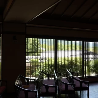 自然光と緑が眩しくて素敵。