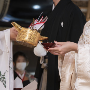 三三九度。緊張しました|585091さんの牛嶋神社の写真(1411365)