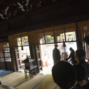 神社からの退場シーン|585091さんの牛嶋神社の写真(1411383)