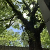 日が落ちていて素敵な空間でした。