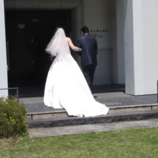 挙式は市役所の芝生広場で実施可能。緑の芝生が綺麗です。
