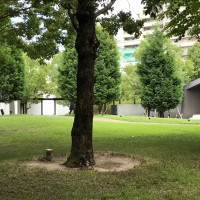 右手にある台形の建物が挙式会場です。周辺は公園のような造り