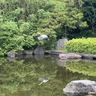 野生の鳥も見れるくらいの自然さです！