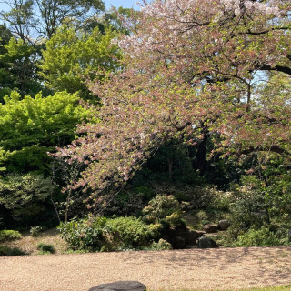 見学に行ったタイミングは桜が散った直後でした。