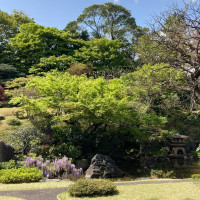 雰囲気のある庭園_1