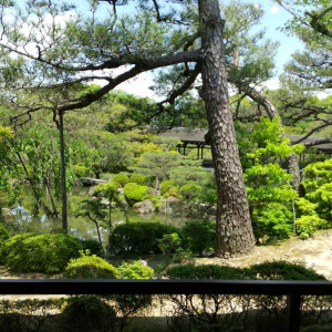 お庭がとても綺麗です。挙式前にロケーション撮影できます|585727さんの平安神宮の写真(1502954)