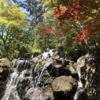 写真をたくさん撮ってしまいそうになります。