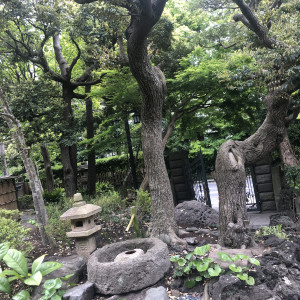 素敵なお庭です。|585767さんの鶴岡八幡宮の写真(1202312)