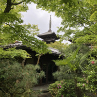 京都ならではの景色が見られるスポットも。