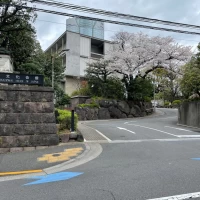 入口