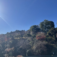 ホテル内の庭園綺麗