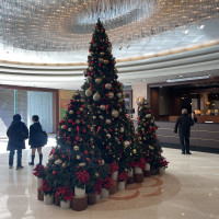ロビーのクリスマスツリー綺麗