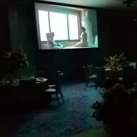 映像演出の様子です