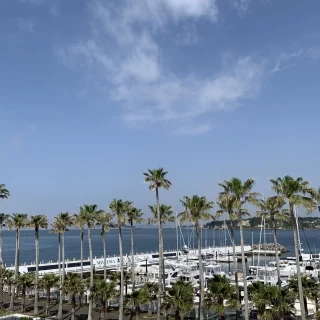 朝の風景です。
