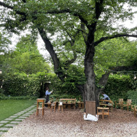 ガーデンチャペルの桜の木