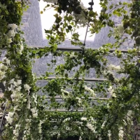 天井を見上げると、お花と自然光が入り素敵です