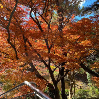 挙式会場の横の庭園も紅葉で鮮やかに