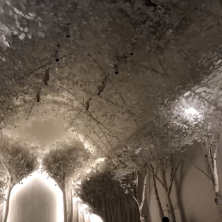 1番感動しました。
幻想的で雰囲気があります。