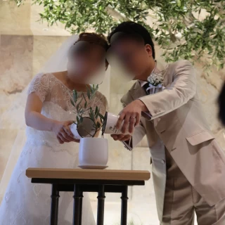 オリーブの鉢植えに水合わせ