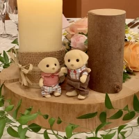 各宅の置物までシルバニアファミリーだった