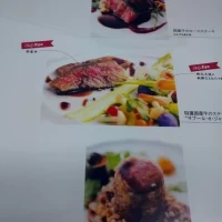 細かい解説もつきます。