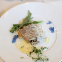 漁港直送鮮魚レモンとタイムの天火焼　レモンバターソース