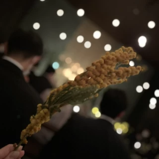 皆に配られたミモザの花