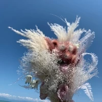 ドライフラワーのブーケ