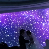 星空の中での誓いのキス