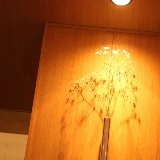 壁のお花