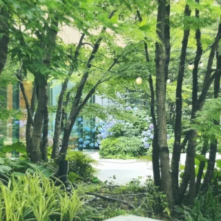 式場の風景です。緑に囲まれています。