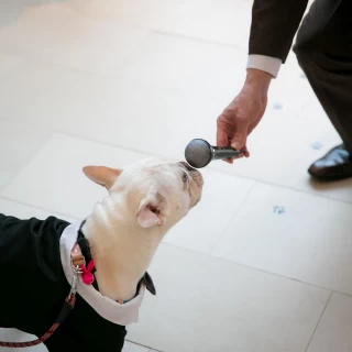 愛犬に司会者さんが語りかけているとこ。