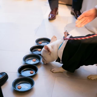 愛犬に誓いの〇〇を決めてもらった。