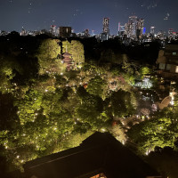 夜の椿山荘の庭園　ナイトウエディングも素敵だと思います