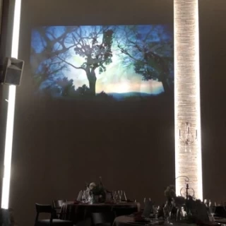 ヨーロピアンな雰囲気の大人ぽい会場の映像