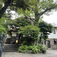 大きなケヤキの木と素敵な邸宅