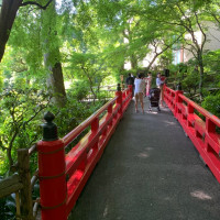 都内とは思えないような緑の日本庭園があります