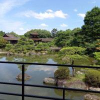 池にはスッポンや鯉がいます