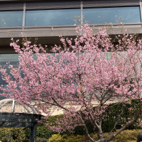 庭園がとてもよい