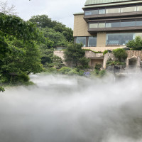 昼の雲海