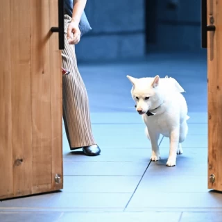 一人で歩けます